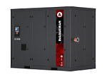 Компрессор винтовой безмасляный Dalgakiran EAGLE 90B W-10