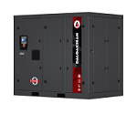 Компрессор винтовой безмасляный Dalgakiran EAGLE 55W-10 VSD